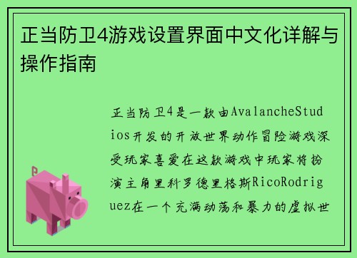 正当防卫4游戏设置界面中文化详解与操作指南